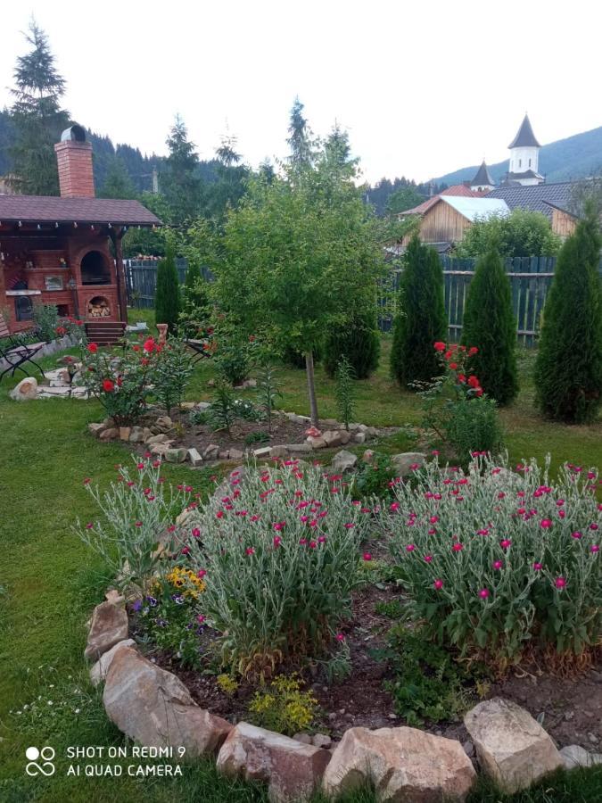 Casa Luca Bed & Breakfast Vama  Exterior foto